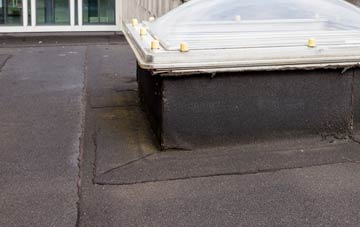 disadvantages of Nether Heage flat roofs